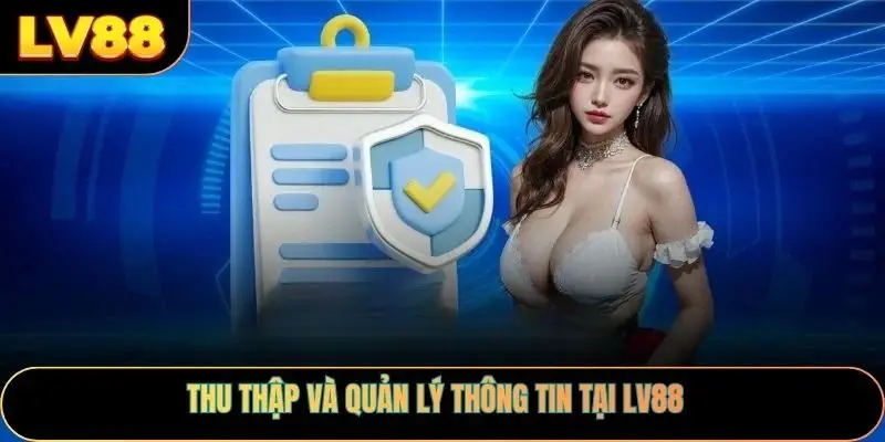 Thu thập và quản lý thông tin cá nhân tại LV88